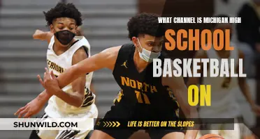Michigan High School Basketball: TV Channel Guide
