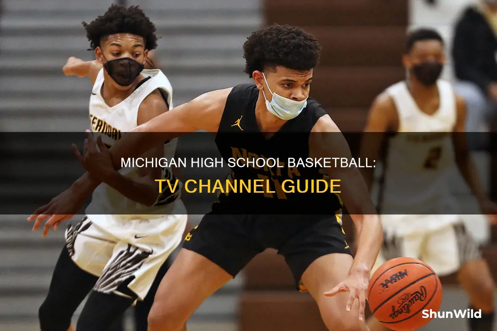 what channel is michigan high school basketball on