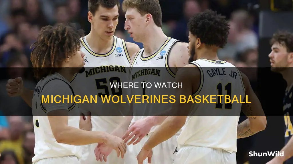 what channel is michigan men