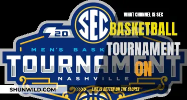 Where to Watch: SEC Basketball Tournament