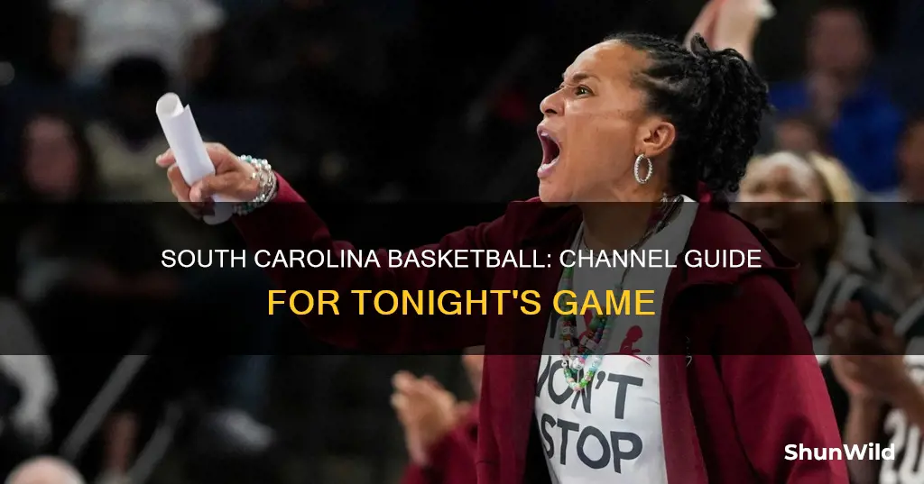 what channel is south carolina basketball on tonight