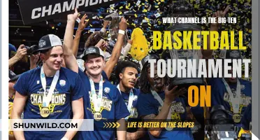 Where to Watch: Big Ten Basketball Tournament