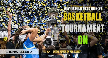Where to Watch: Big Ten Men's Basketball Tournament