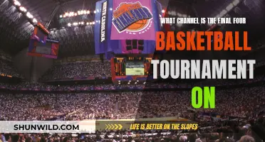 Where to Watch: Final Four Basketball Tournament