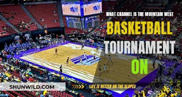 Where to Watch the Mountain West Basketball Tournament