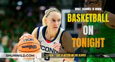 WNBA Basketball: Catch the Live Action on Your TV Tonight