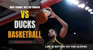 Where to Watch Badgers vs Ducks Basketball