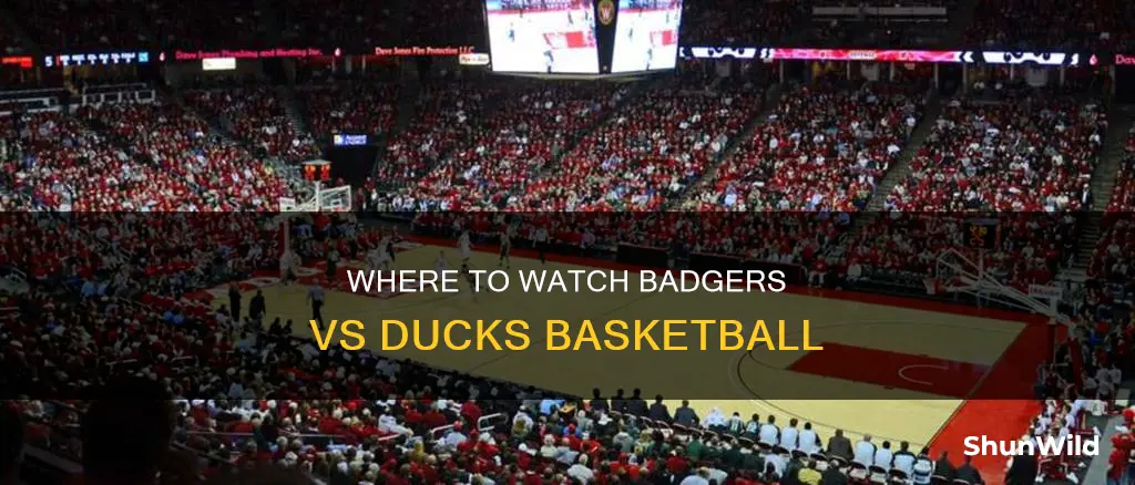 what channel will the badgers vs ducks basketball
