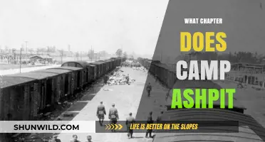 Camp Ashpit's Arrival: Unveiling the Chapter in the Series