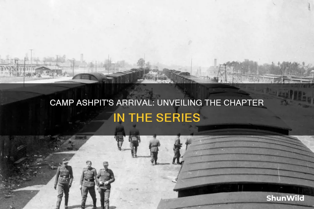 what chapter does camp ashpit