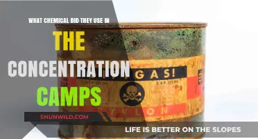 Unveiling the Deadly Chemical Used in Nazi Concentration Camps