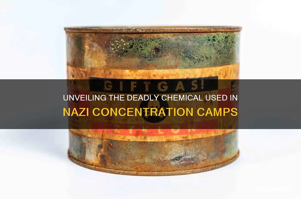 what chemical did they use in the concentration camps