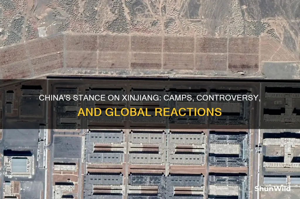 what china thinks about concentration camps
