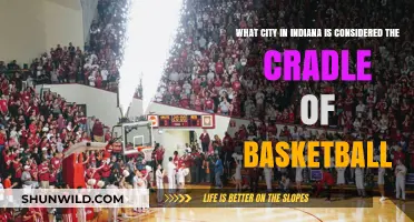 Hoosier Hysteria: Indiana's Basketball Cradle