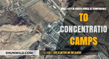 North Korea's Hidden Atrocities: Cities Resembling Concentration Camps Exposed