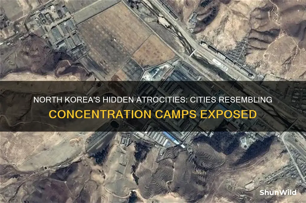 what city in north korea is comparable to concentration camps