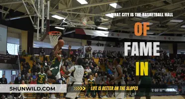 Basketball Hall of Fame: Where Legends Are Honored
