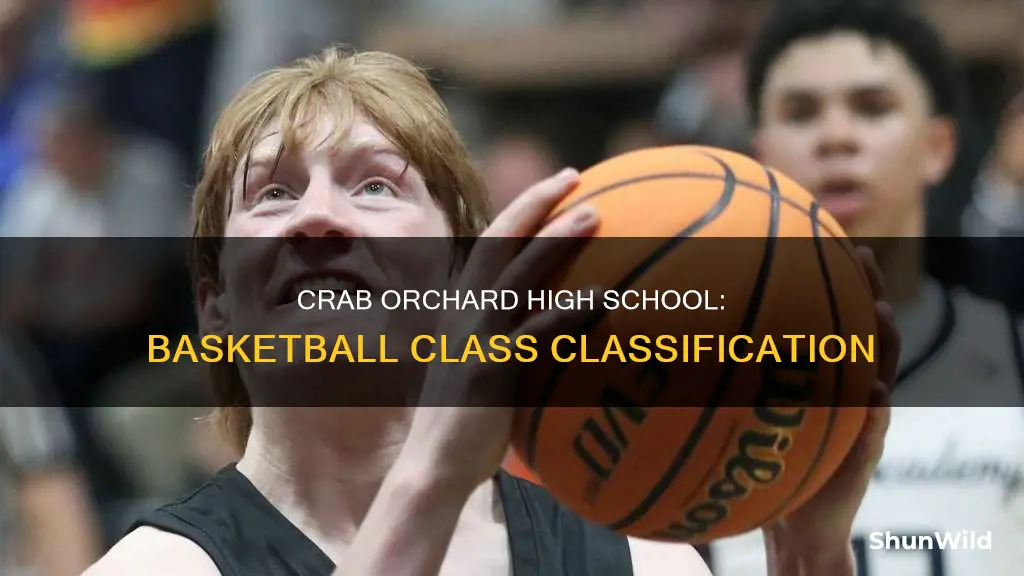 what class in basketball is crab orchard high school