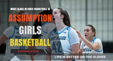 Assumption Girls: Basketball Classification and Excellence