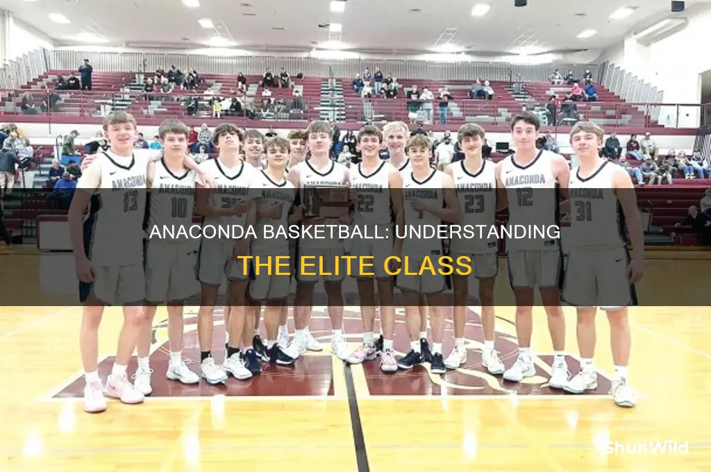 what class is anaconda basketball