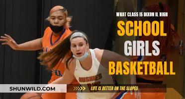 Dixon High School Girls Basketball: What Class Are They?