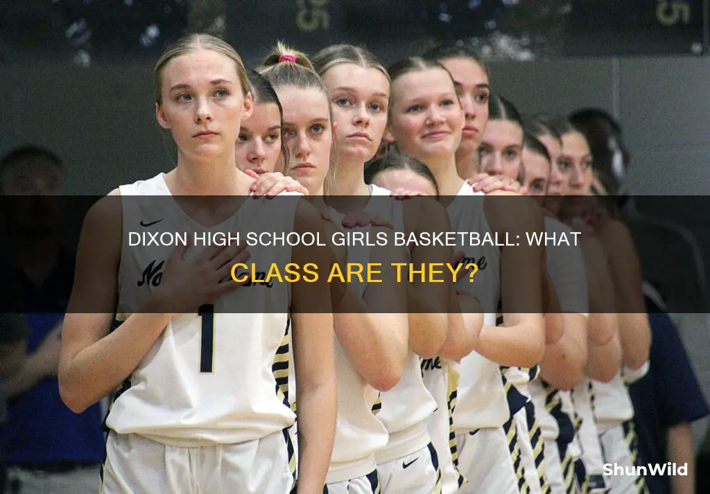 what class is dixon il high school girls basketball
