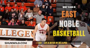 Noble Knights: Basketball Team's Class Secrets