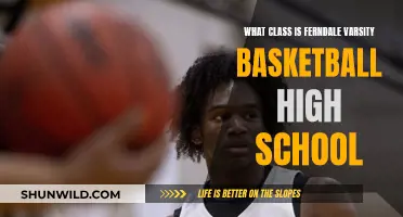 Ferndale Varsity Basketball: High School Class and Team Success