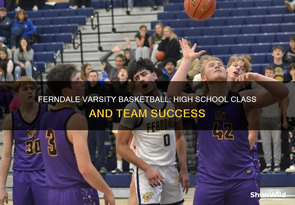 what class is ferndale varsity basketball high school