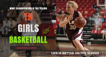 Tellico's Girls Basketball: Classification and Performance Review