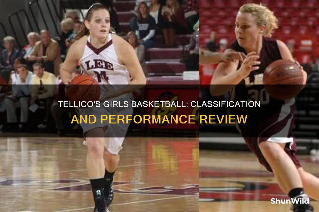 what classification is the tellico tn girls basketball