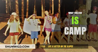 What College is Camp: Unveiling the Fun and Learning Experience