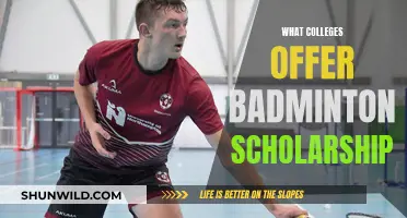 Best Colleges for Badminton Players with Scholarships