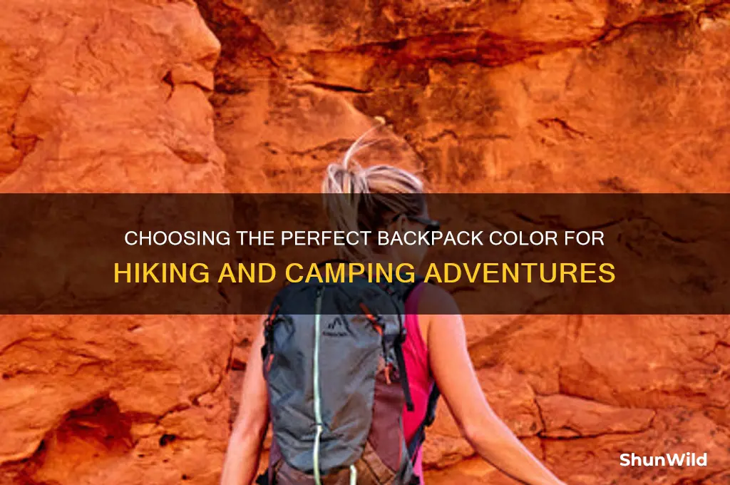 what color backpack hiking camping