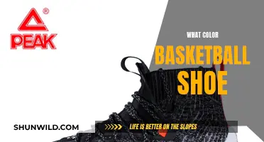 Basketball Shoe Color: What's Your Style?