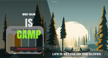 Exploring the Vibrant, Eclectic Palette of Camp Culture and Style