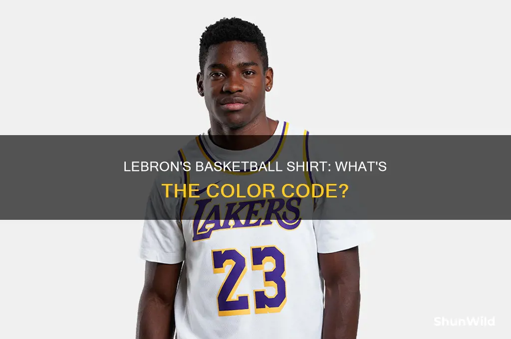 what color is lebron james basketball shirt