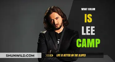 Exploring the Color of Lee Camp: A Humorous Investigation