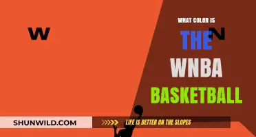 WNBA Basketball: The Color of Success