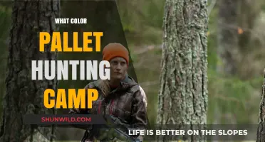 Choosing the Perfect Color Palette for Your Hunting Camp Decor