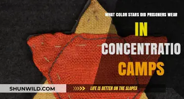 Concentration Camp Star Colors: Decoding Prisoner Markings and Their Meanings