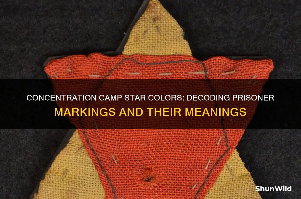 what color stars did prisoners wear in concentration camps