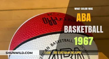 The Colorful History of ABA Basketball in 1967