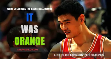 Basketball's Color Evolution: From [Color] to Orange