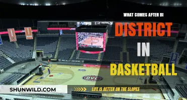 The Road to the Championship: Post-Bi-District Basketball