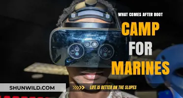 Life After Boot Camp: A Marine's Journey to Advanced Training