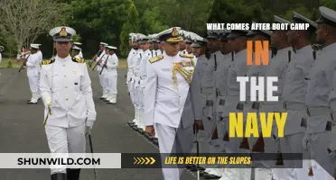 Beyond Boot Camp: Navy Training and Career Path Explained