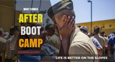 Life After Boot Camp: Navigating the Next Steps and Challenges