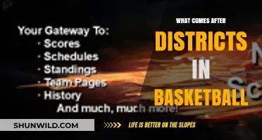 Basketball's Post-District Play: What's Next?