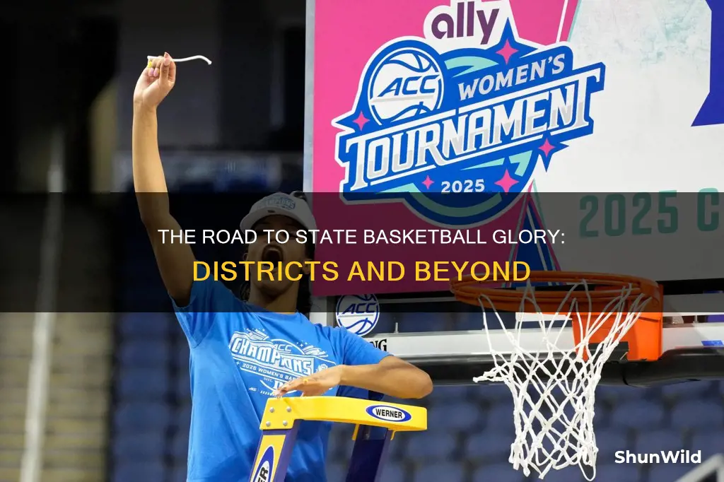 what comes after districts in state basketball tournament